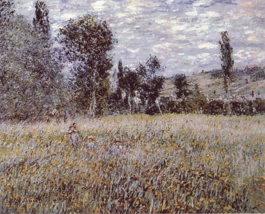 A Meadow